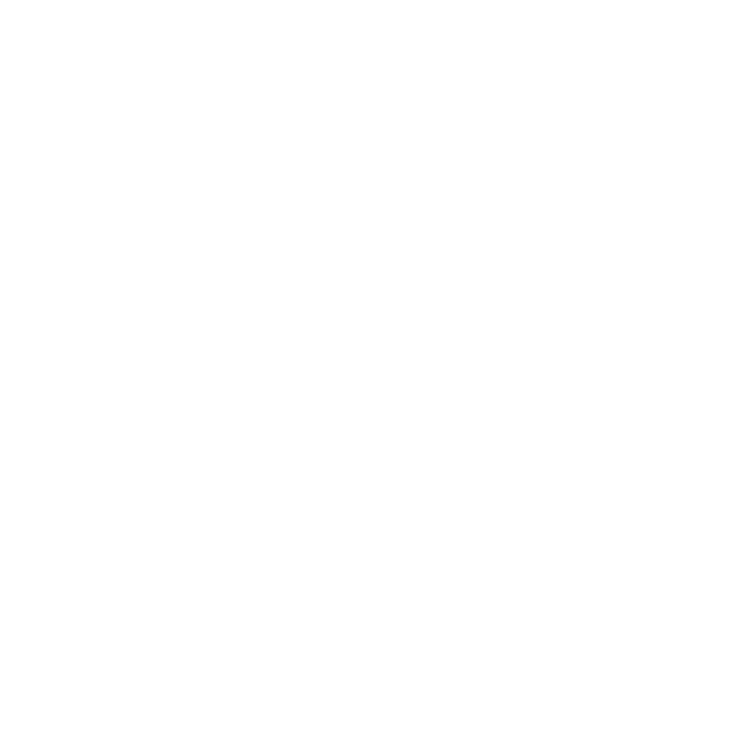 Instituto Renato Russi